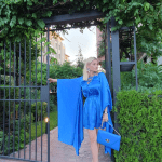 Elegant ladies dress 1096